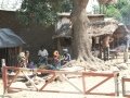 Fizi_Baraka_IMG_0834_Uva