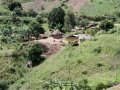 Ngomu_IMG_0165_Uva