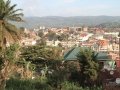 Ngomu_IMG_0206_Uva