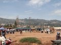 Ngomu_IMG_0512_Uva