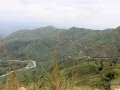 Ngomu_IMG_0523_Uva