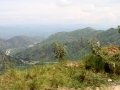 Ngomu_IMG_0524_Uva