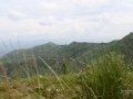 Ngomu_IMG_0525_Uva