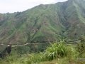Ngomu_IMG_0526_Uva