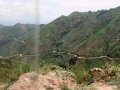Ngomu_IMG_0527_Uva