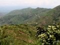Ngomu_IMG_0528_Uva
