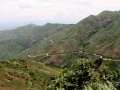 Ngomu_IMG_0529_Uva