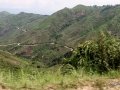 Ngomu_IMG_0530_Uva