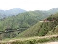 Ngomu_IMG_0531_Uva