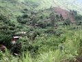 Ngomu_IMG_0535_Uva
