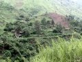 Ngomu_IMG_0536_Uva