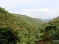 Ngomu_IMG_0538_Uva