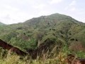 Ngomu_IMG_0540_Uva
