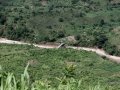Ngomu_IMG_0545_Uva