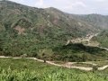 Ngomu_IMG_0546_Uva
