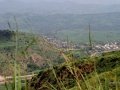 Ngomu_IMG_0553_Uva