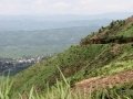 Ngomu_IMG_0556_Uva