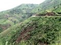Ngomu_IMG_0558_Uva