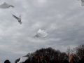 UviraOnline_IMG_3250
