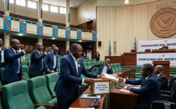 Image d'illustration AI